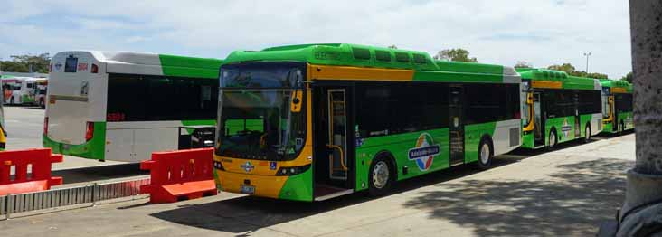 Adelaide Metro Scania K230EB Volgren Optimus 5808 & 5804